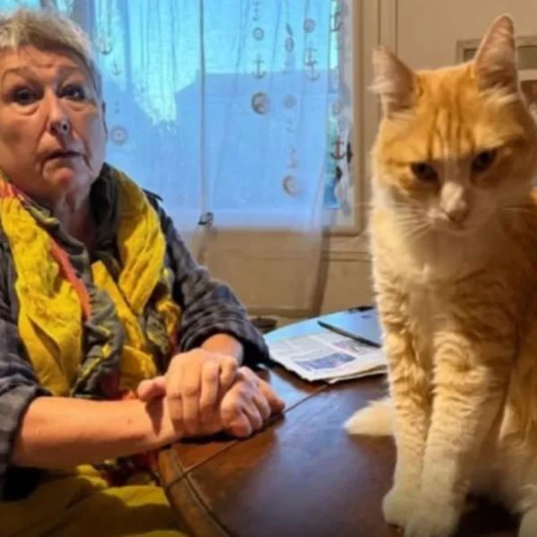The French Court Case That Put a Cat Under House Arrest