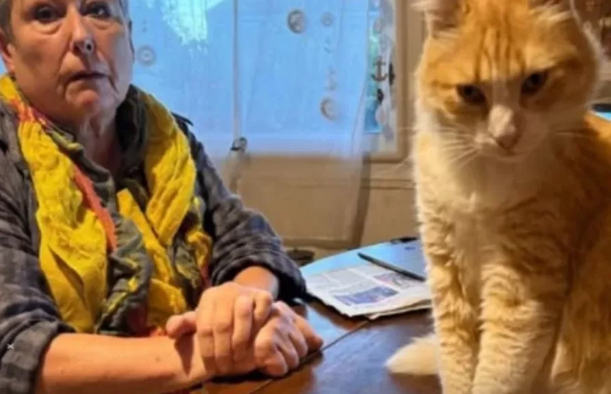 The French Court Case That Put a Cat Under House Arrest