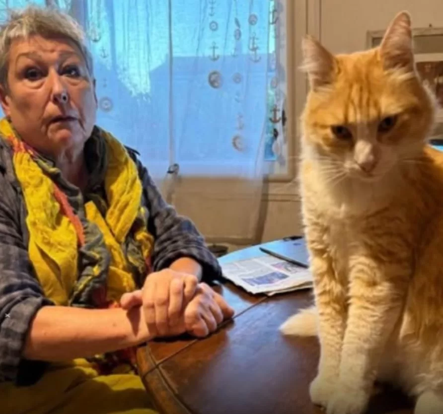 The French Court Case That Put a Cat Under House Arrest