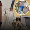 A Church That Opened Its Doors to Stray Dogs and Changed Lives