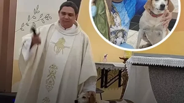 A Church That Opened Its Doors to Stray Dogs and Changed Lives