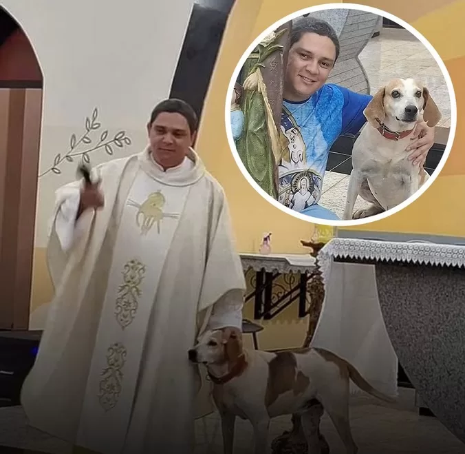 A Church That Opened Its Doors to Stray Dogs and Changed Lives