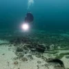 “We were completely frozen”: Archaeologists make stunning 2,000-year-old discovery in Swiss lake