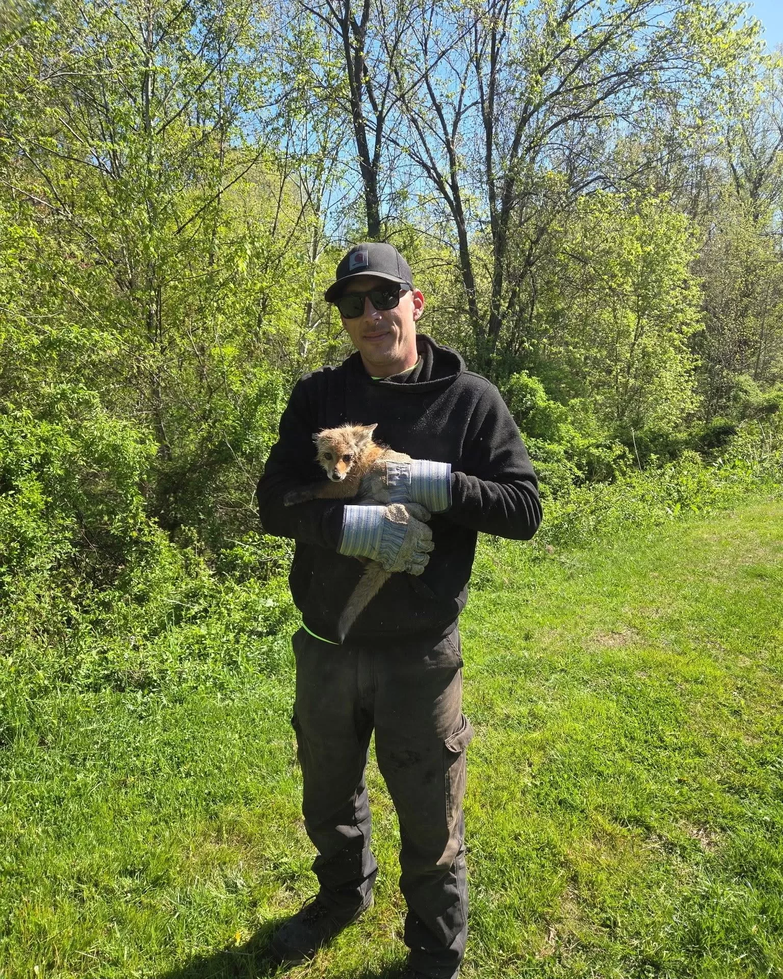 Workers Saw a Baby Fox Running Toward Them. Then They Realized Its Head Was Trapped Inside a Jar