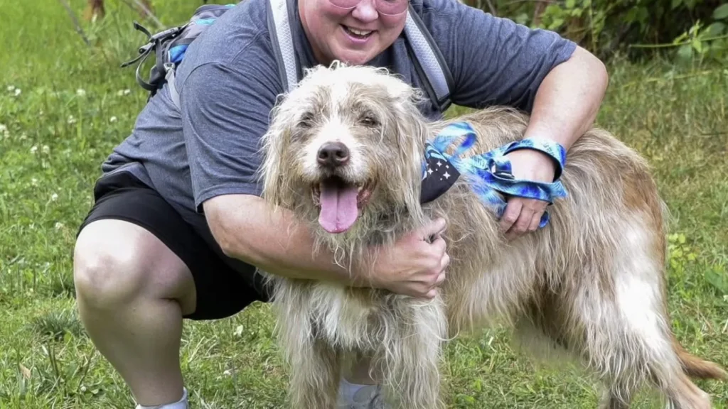 Dog Waited 7 Years in a Shelter. Then One Woman Spent Months Earning His Trust
