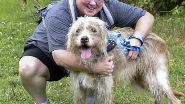 Dog Waited 7 Years in a Shelter. Then One Woman Spent Months Earning His Trust Dog Waited 7 Years in a Shelter. Then One Woman Spent Months Earning His Trust