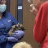 She Lost Her Home and Believed Her Cat Was Gone Forever. Then Aggie Was Placed Back in Her Arms