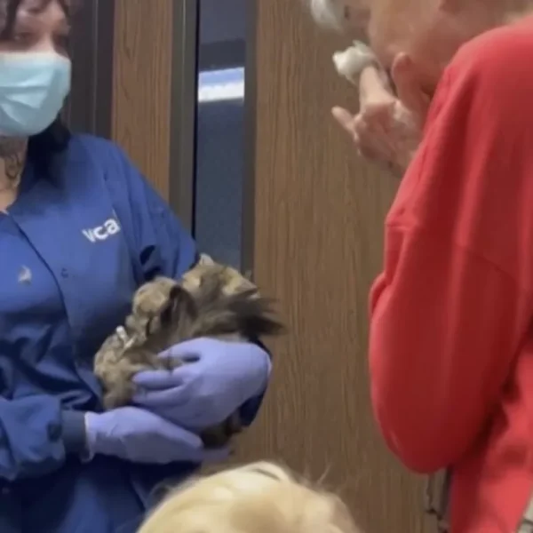 She Lost Her Home and Believed Her Cat Was Gone Forever. Then Aggie Was Placed Back in Her Arms
