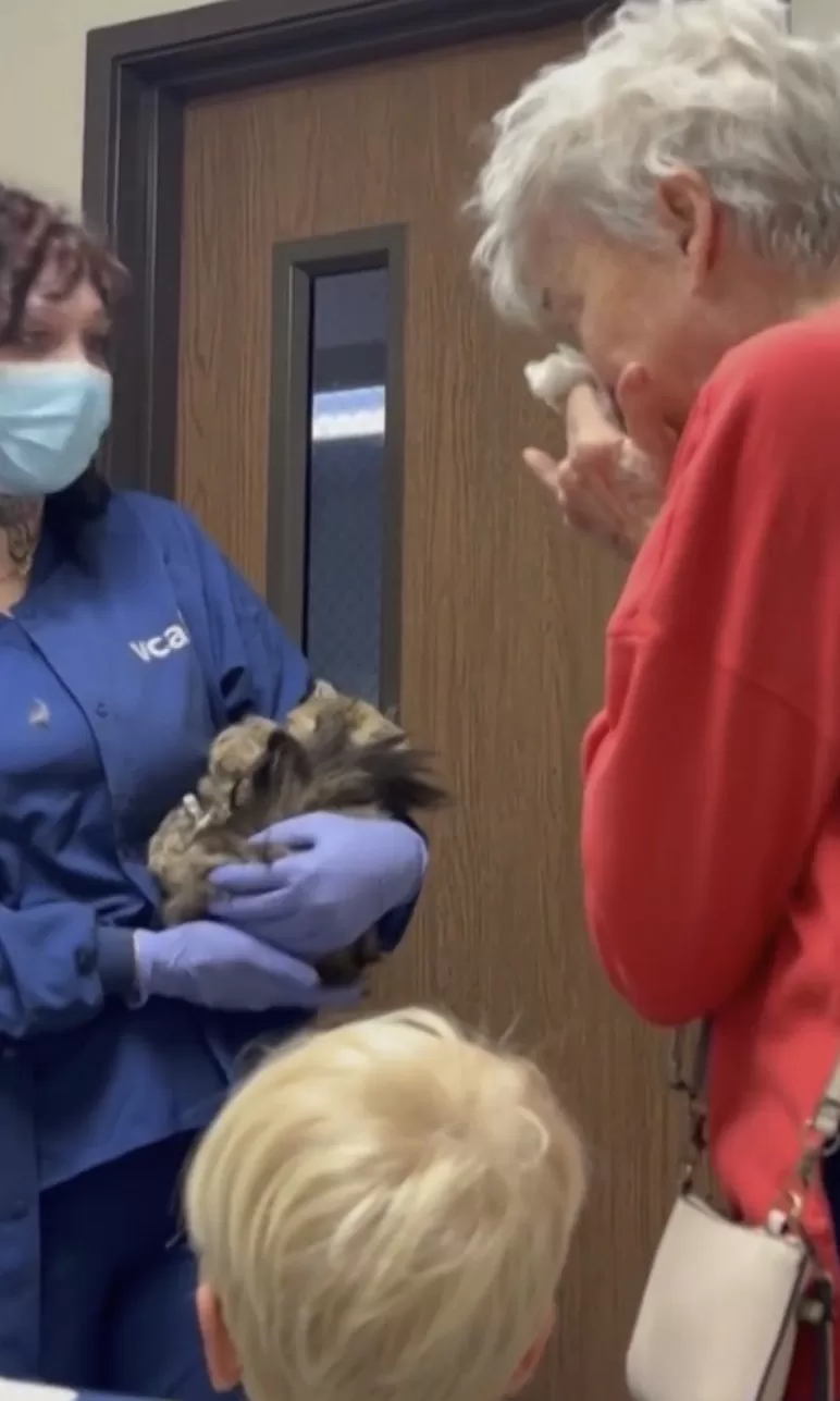She Lost Her Home and Believed Her Cat Was Gone Forever. Then Aggie Was Placed Back in Her Arms