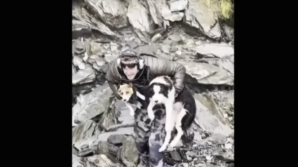 Her Owner Was Airlifted From a Waterfall. Molly Stayed Behind in the Wilderness for Seven Days
