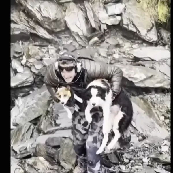 Her Owner Was Airlifted From a Waterfall. Molly Stayed Behind in the Wilderness for Seven Days