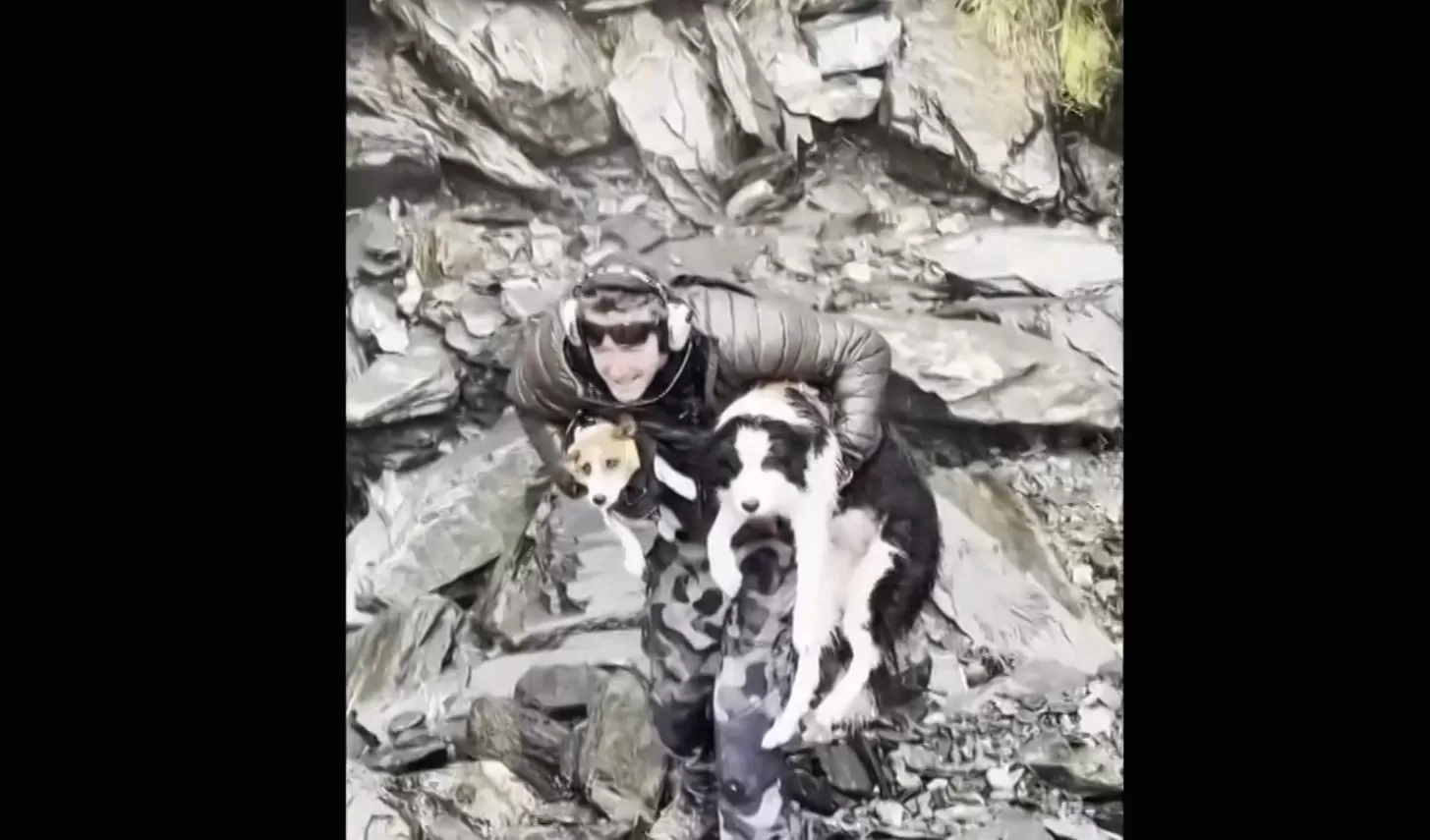 Her Owner Was Airlifted From a Waterfall. Molly Stayed Behind in the Wilderness for Seven Days