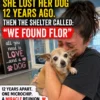 She Lost Her Dog 12 Years Ago. Then a Shelter Called and Said, “We Found Flor”