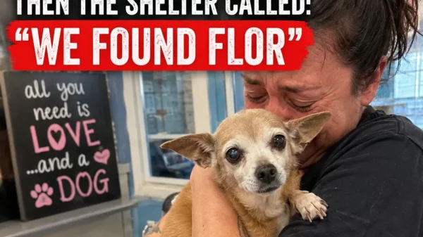 She Lost Her Dog 12 Years Ago. Then a Shelter Called and Said, “We Found Flor”