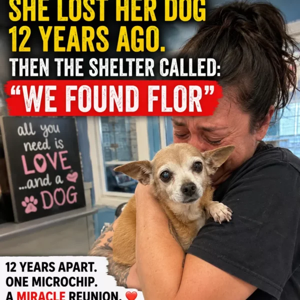 She Lost Her Dog 12 Years Ago. Then a Shelter Called and Said, “We Found Flor”