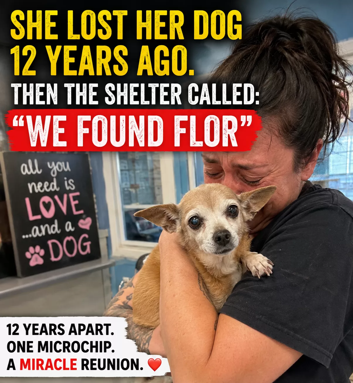 She Lost Her Dog 12 Years Ago. Then a Shelter Called and Said, “We Found Flor”