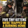 Five Tiny Kittens Were Trapped in a Burning Home. Firefighters Found Them in Time