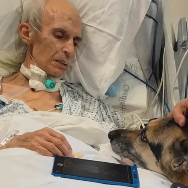 His Final Wish Wasn’t for Himself. He Just Needed to Know His Dogs Would Be Loved After He Was Gone