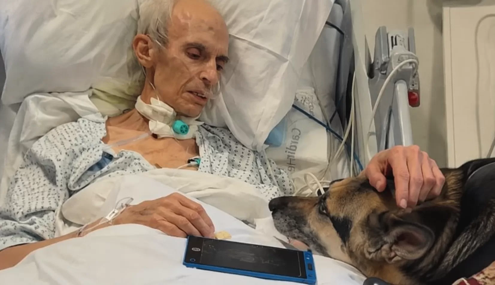 His Final Wish Wasn’t for Himself. He Just Needed to Know His Dogs Would Be Loved After He Was Gone