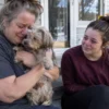 They Thought Their Dog Was Gone Forever. Four Years Later, a Microchip Brought Owl Home