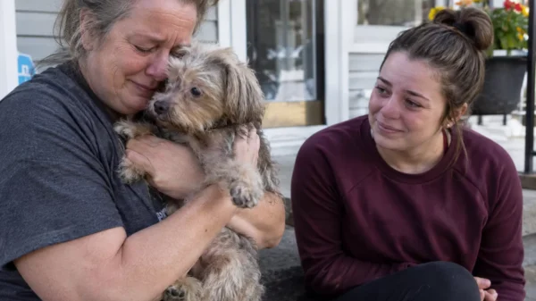 They Thought Their Dog Was Gone Forever. Four Years Later, a Microchip Brought Owl Home