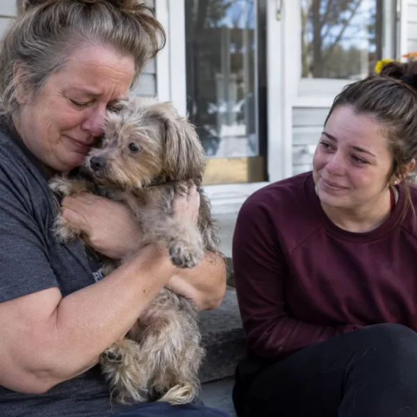 They Thought Their Dog Was Gone Forever. Four Years Later, a Microchip Brought Owl Home