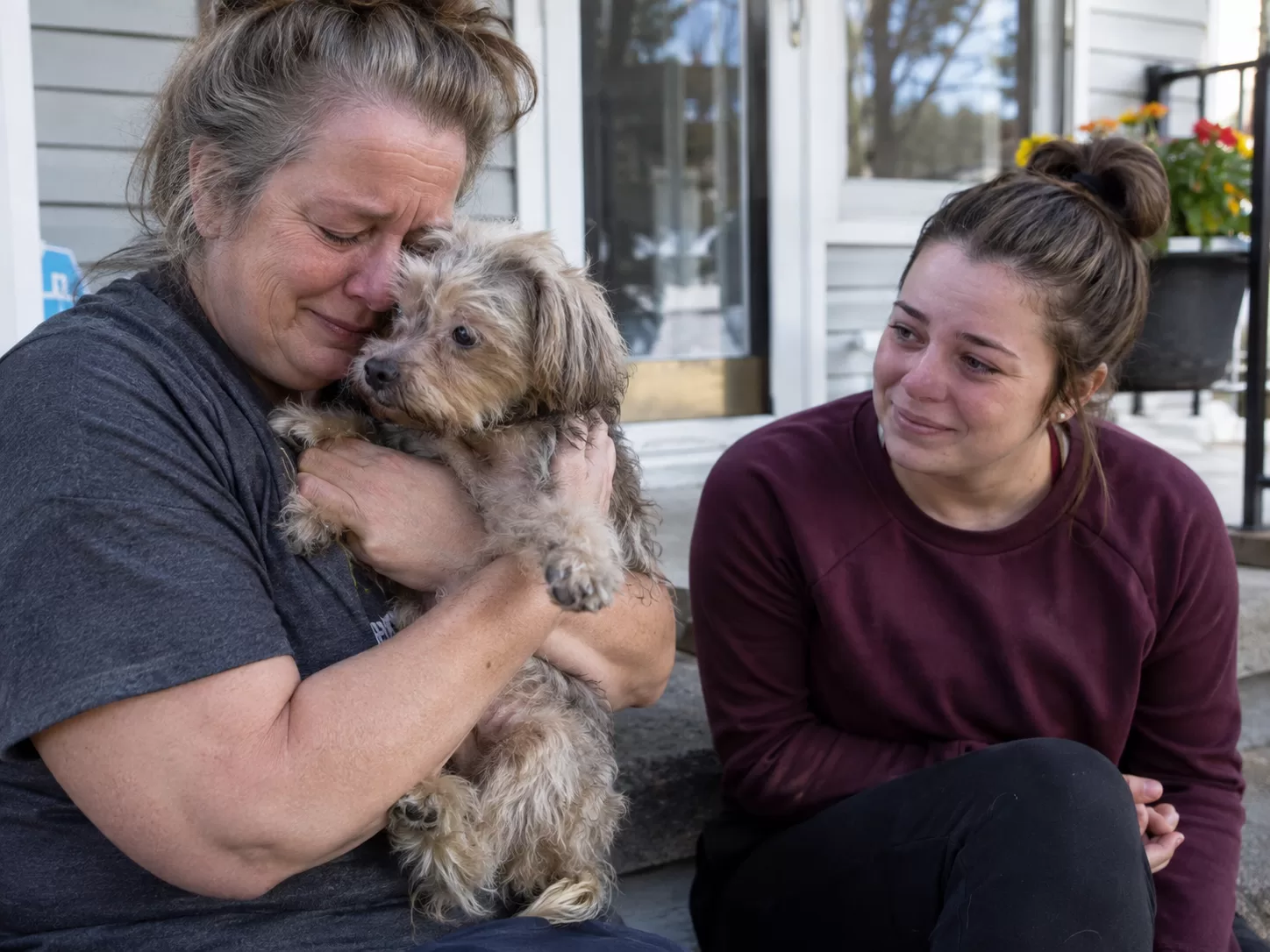 They Thought Their Dog Was Gone Forever. Four Years Later, a Microchip Brought Owl Home