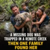 They Thought They Saw a Wild Animal in the Creek. Then a Dog’s Face Rose From the Freezing Water
