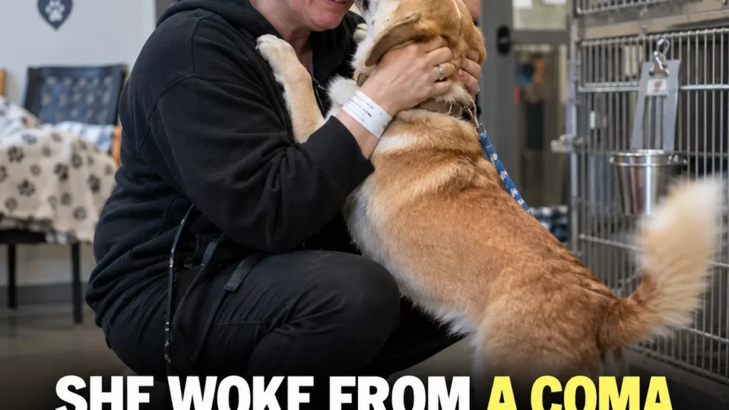 She Woke From a Coma Thinking Her Dog Was Gone Forever. Then She Saw One Familiar Face Online