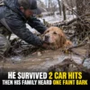 He Survived Two Car Hits, Two Storms and Three Nights Alone. Then His Family Heard One Faint Bark